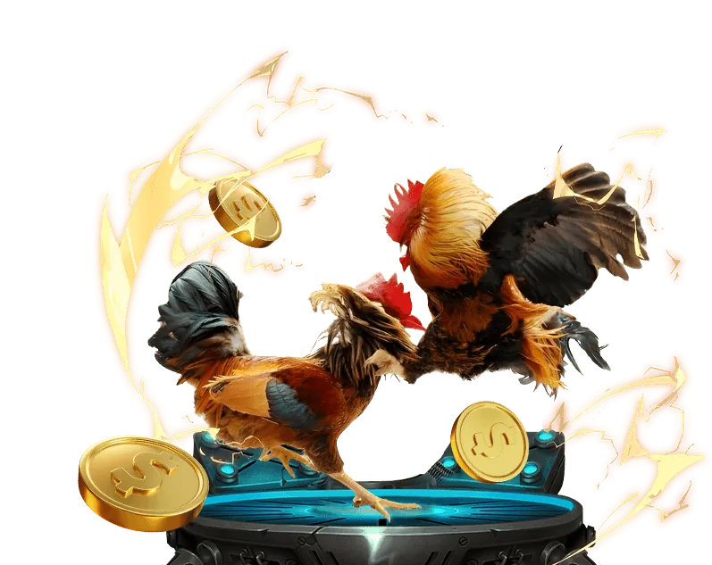 Hình ảnh bảo mật Gà Cam 67.com