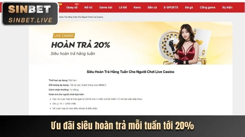 Biểu đồ phân tích các chương trình khuyến mãi của Gà Cam 67.com